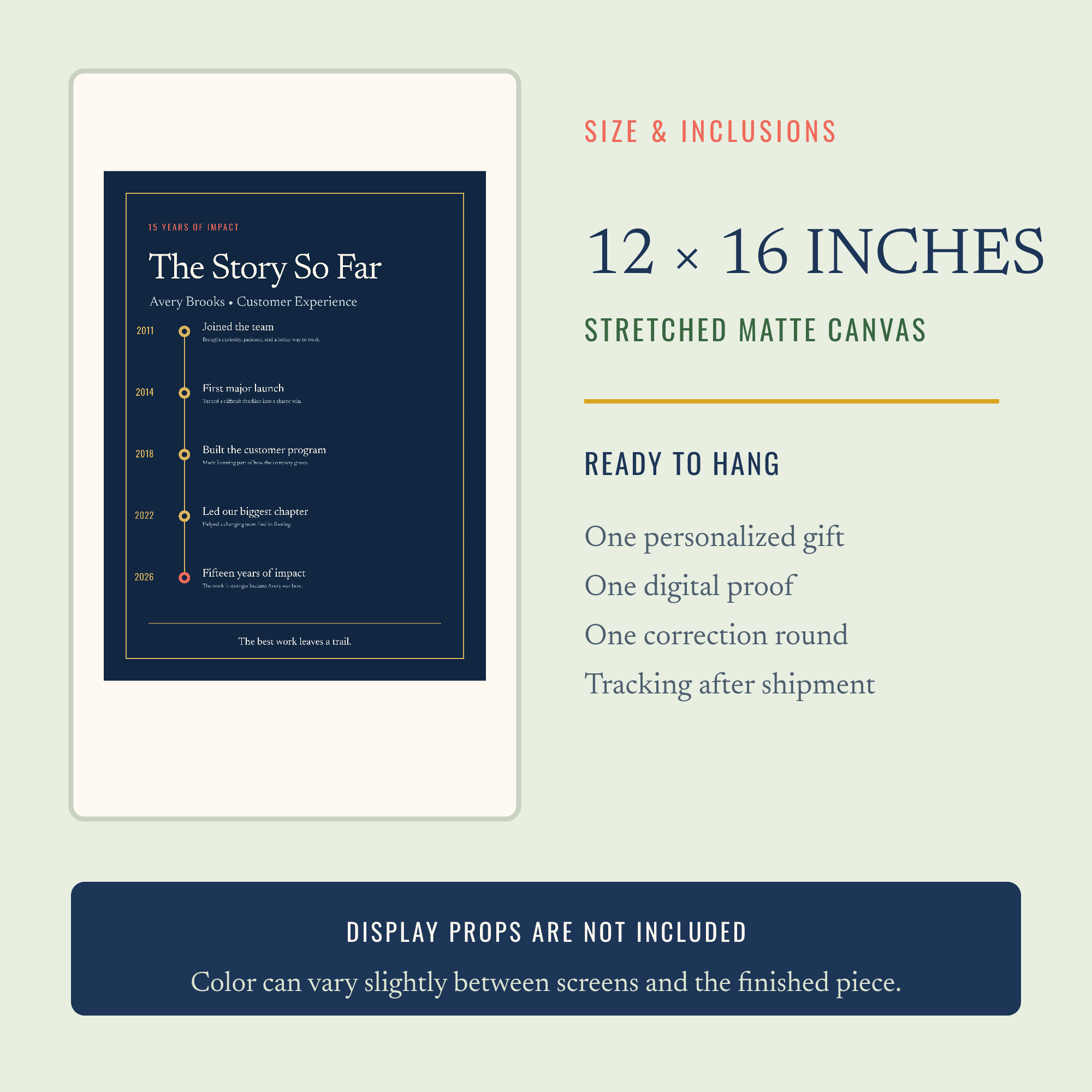 The Story So Far — Personalized Career Timeline Canvas — view 5